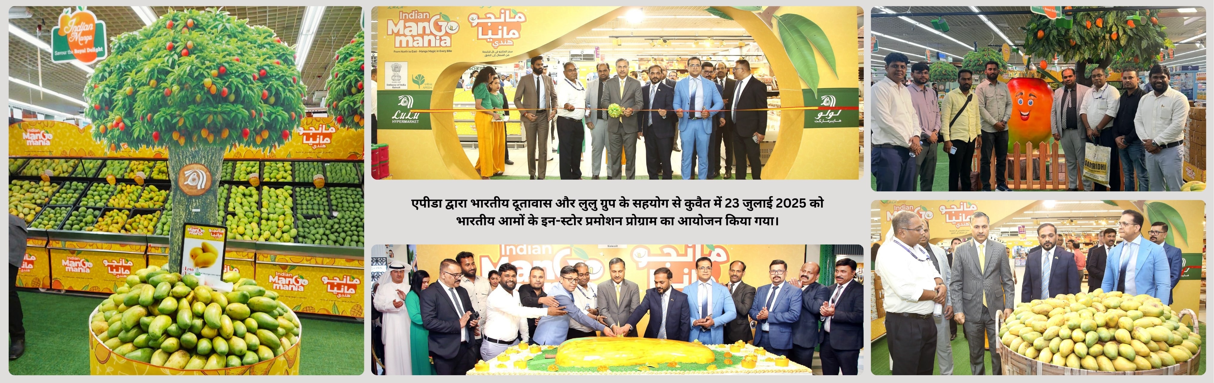 Mango Promotion Banner