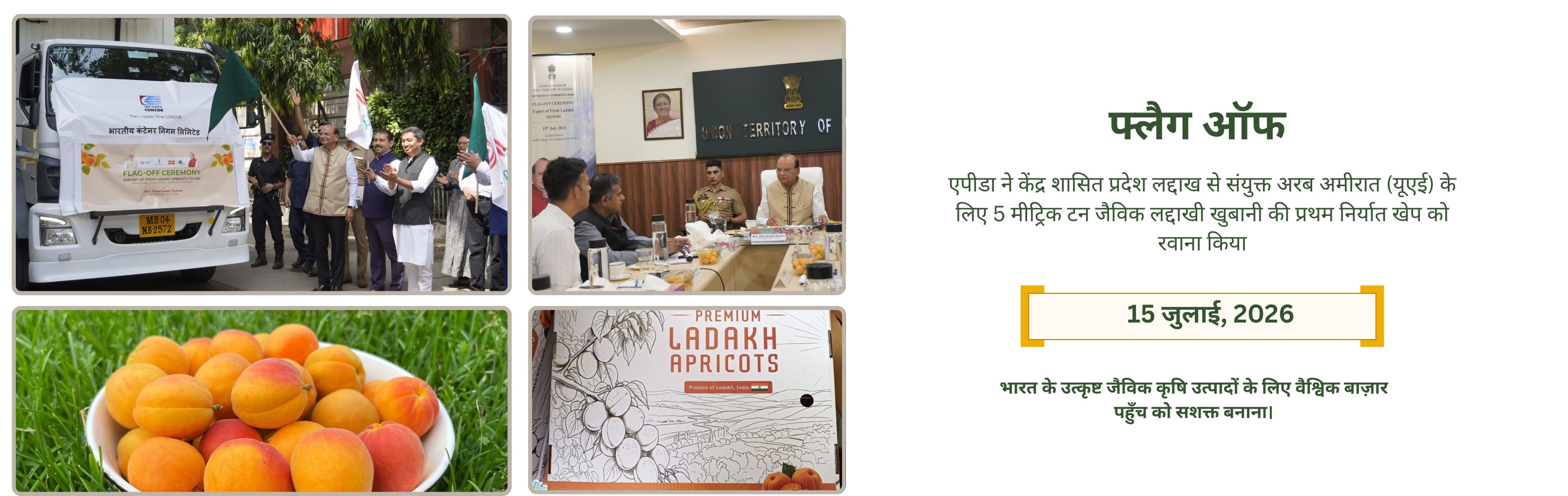 organic ladakh apricots UAE