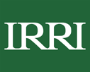 irri