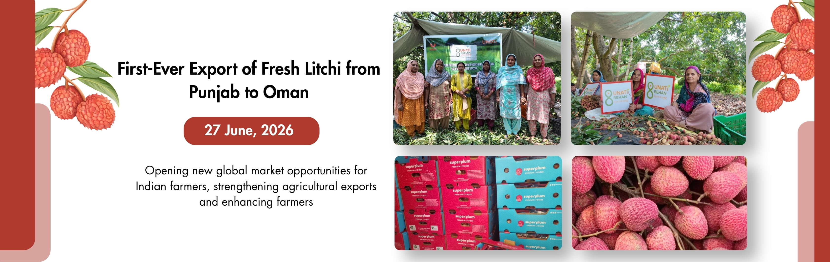 Fresh Litchi from Punjab to Oman