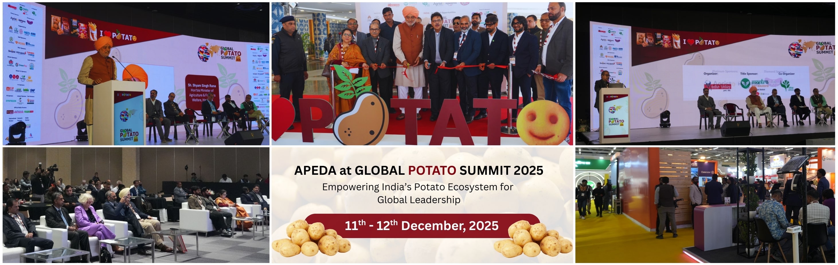 Global Potato Summit 2025