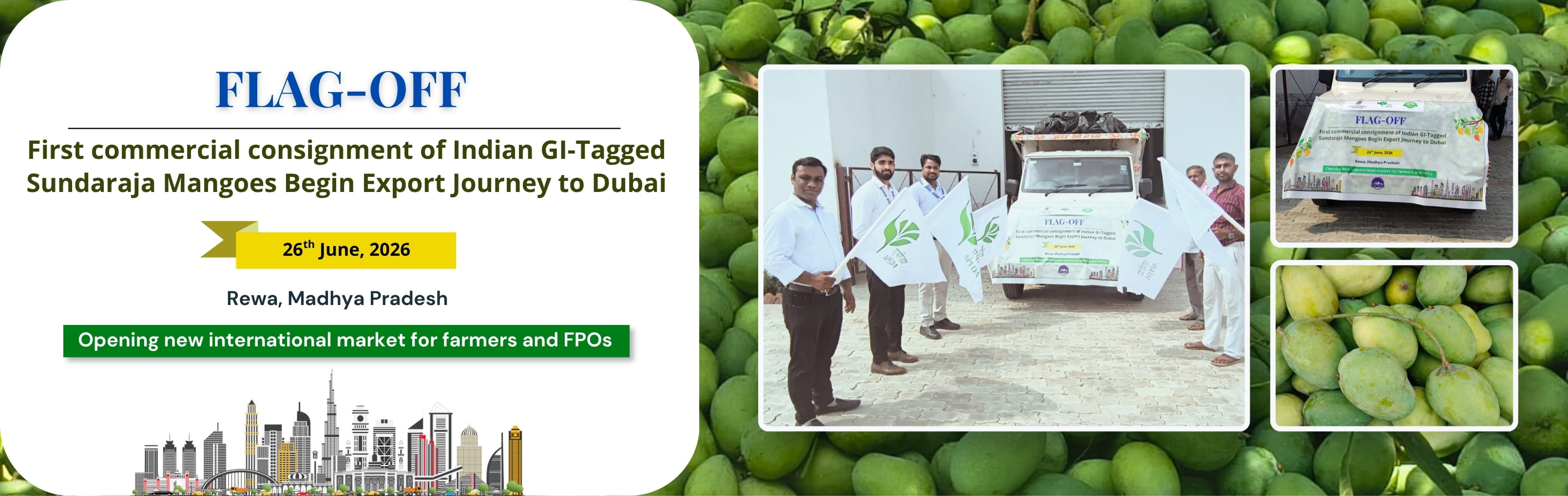 Mangoes Begin Export Journy to dubai