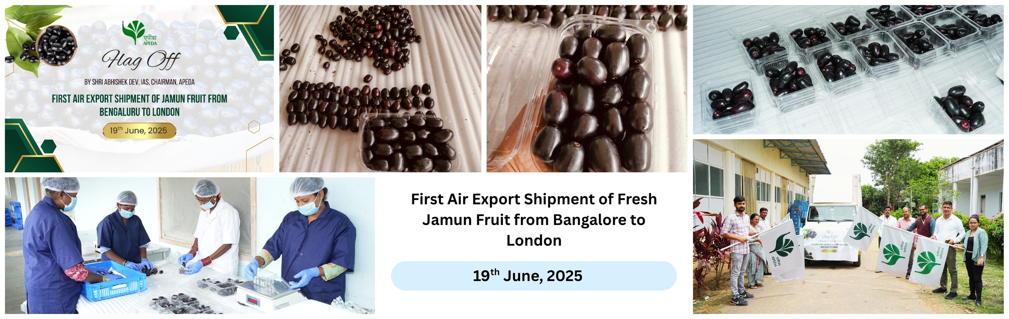 Flag off Fresh Jamun