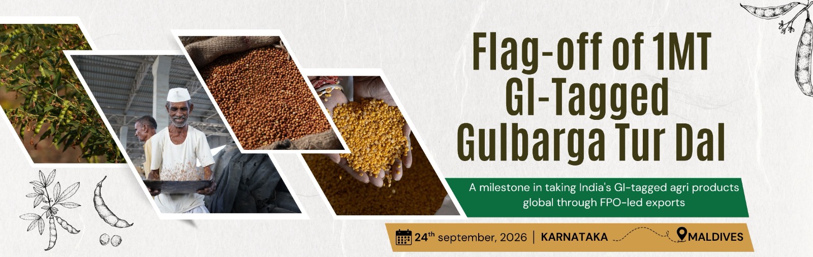 Gi tagged gulbarga tur dal