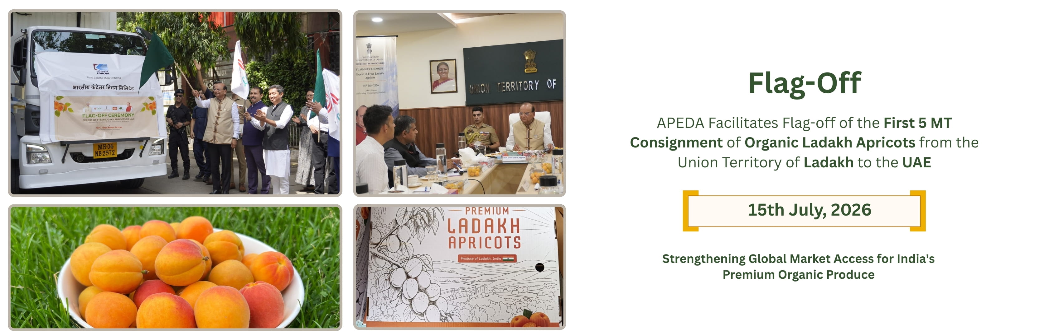 Organic Ladakh Apricots UAE