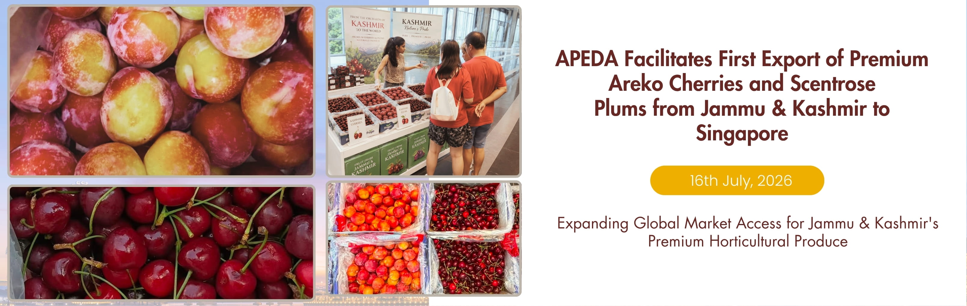 plums from jammu kashmor to singapore